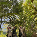 Birding at Buli Road (image by Craig Robson)