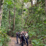 Birding at Tangkoko (image by Craig Robson)