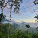 Dusk on Halmahera (image by Craig Robson)