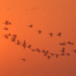A typical sunset for this tour (image by János Oláh)