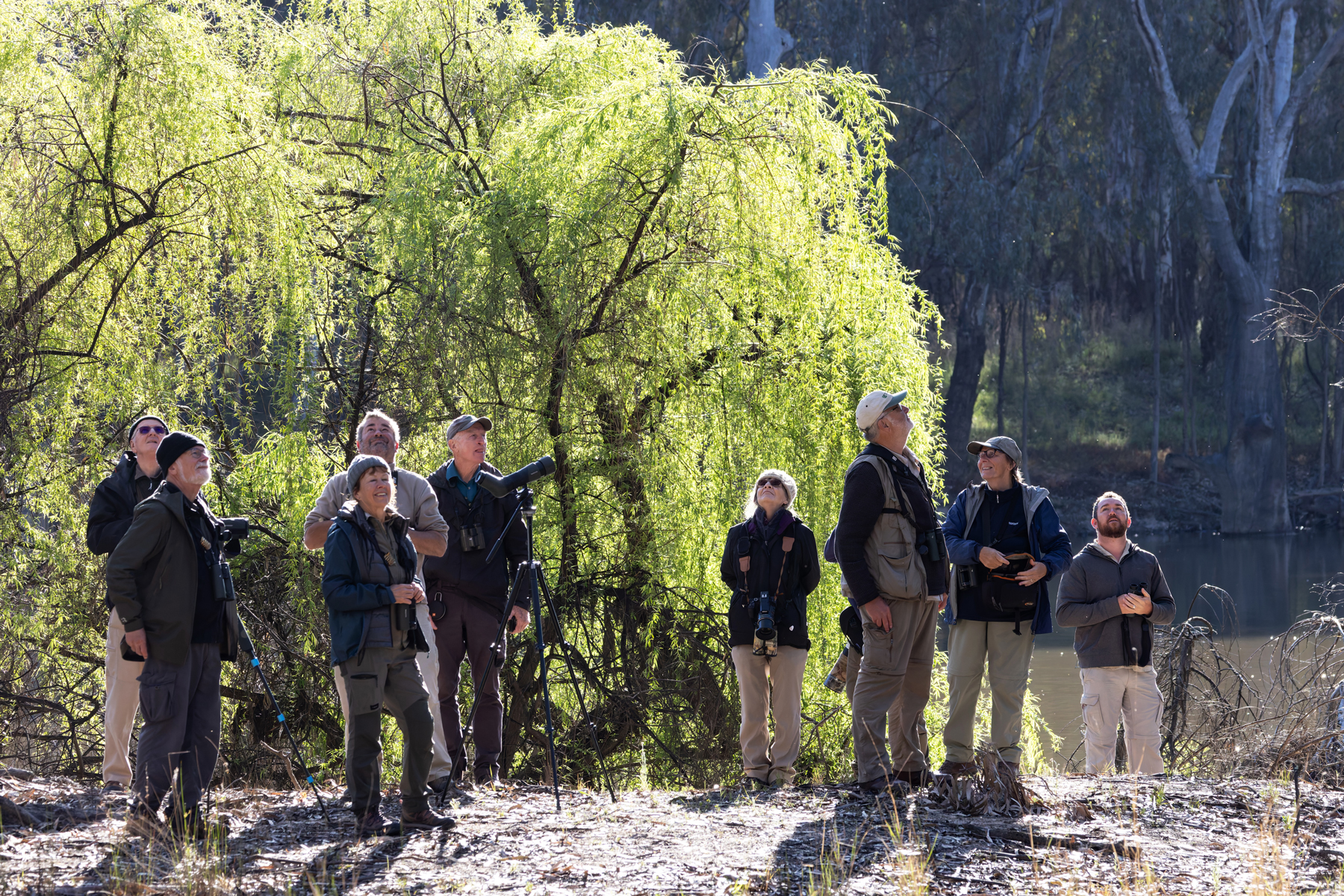 Birding at Deniliquin (image by Mike Watson)