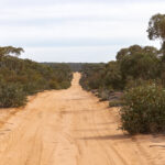 Mallee Murray-Sunset NP (image by Mike Watson)