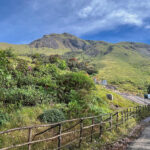 Eravikulam N.P. (image by Craig Robson)