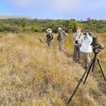 Birding on top of Mt. Karthala (image by Hannu Jännes)