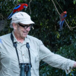 Australian King Parrots eating from the hand (image by Simon Mitchell)