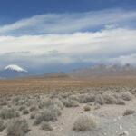 Lauca NP (image by Mark Pearman)
