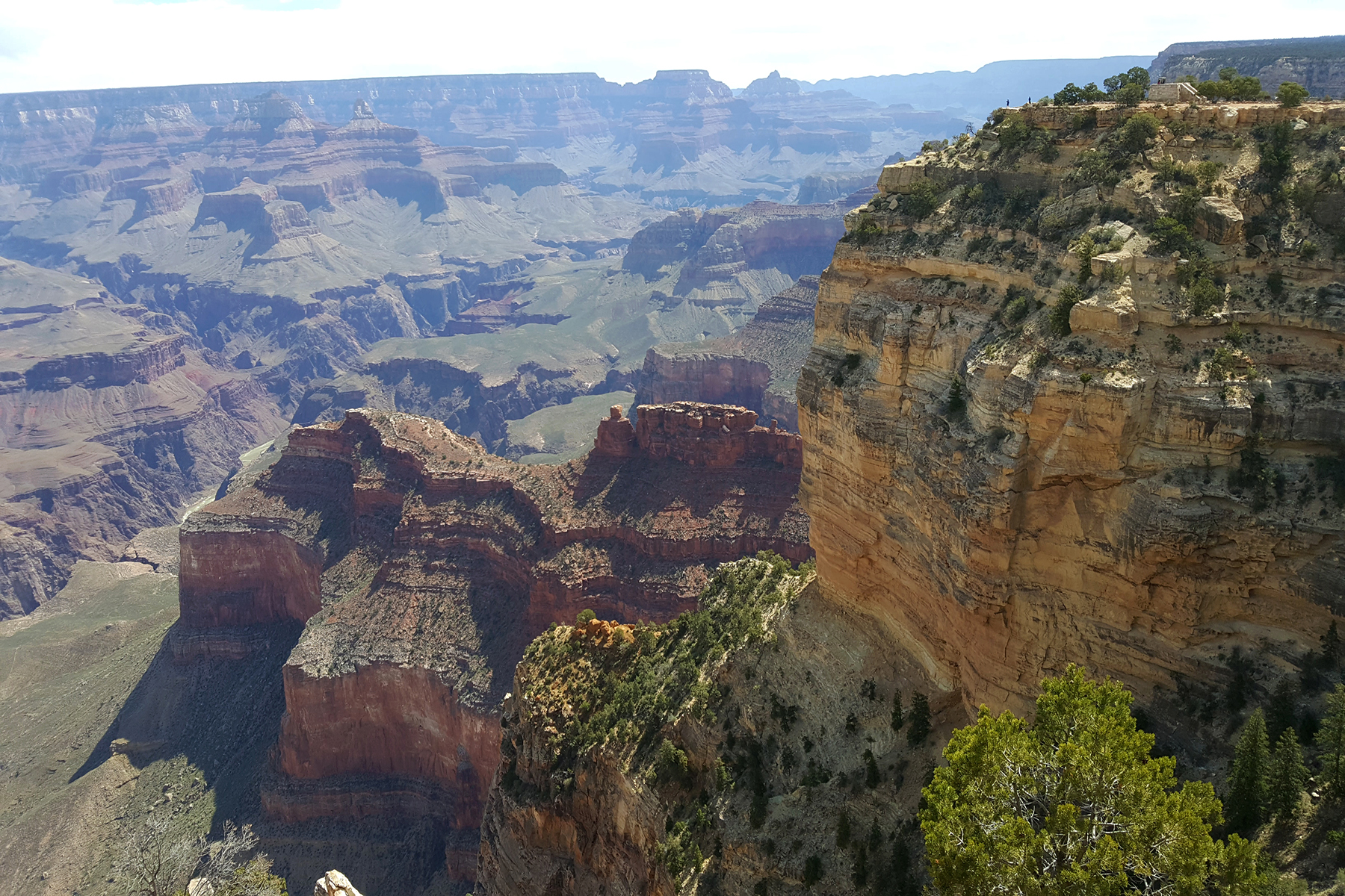 Grand Canyon, Arizona (image by Sjoerd Radstaak)