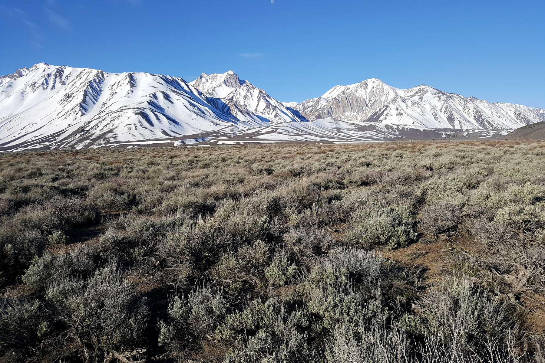 Lake Crowley area, California (image by Sjoerd Radstaak)