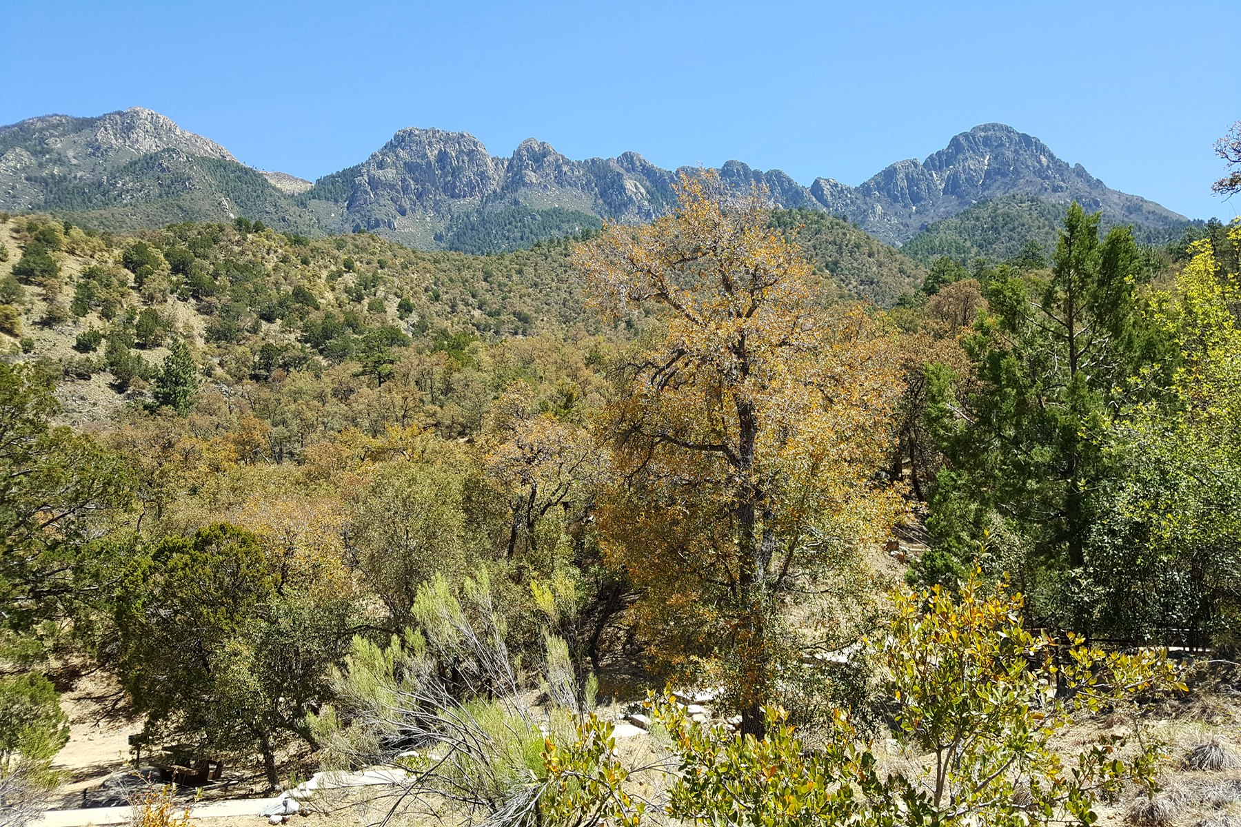 Madera Canyon, Arizona (image by Sjoerd Radstaak)