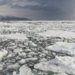 Japanese seas are often quite icy! (image by Dave Farrow)