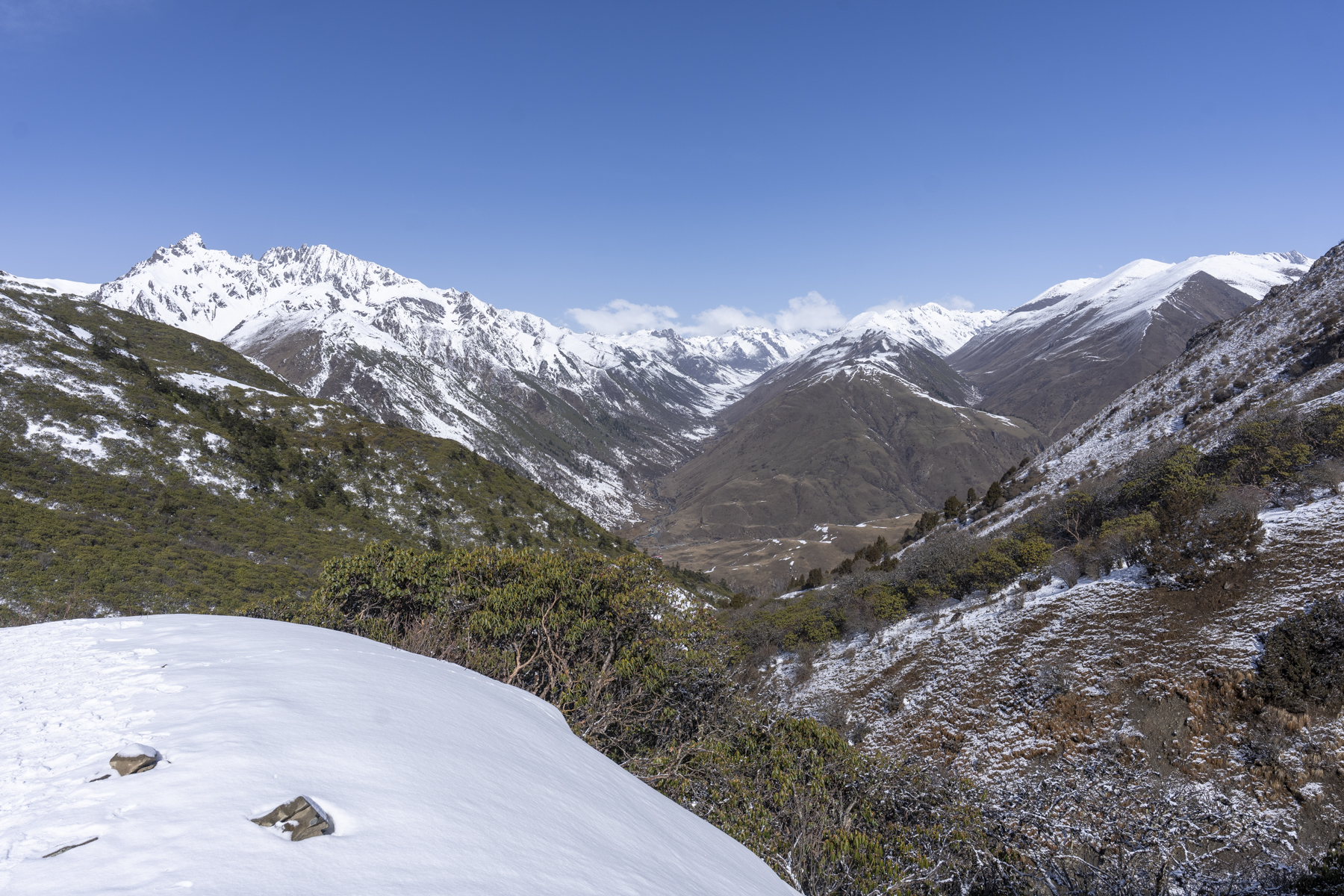 The spectacular habitat of the Chinese Monal (image by Mark Beaman)