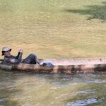 Crossing one of the many river sections in a hand made canoe on Marika (image by Diedert Koppenol)