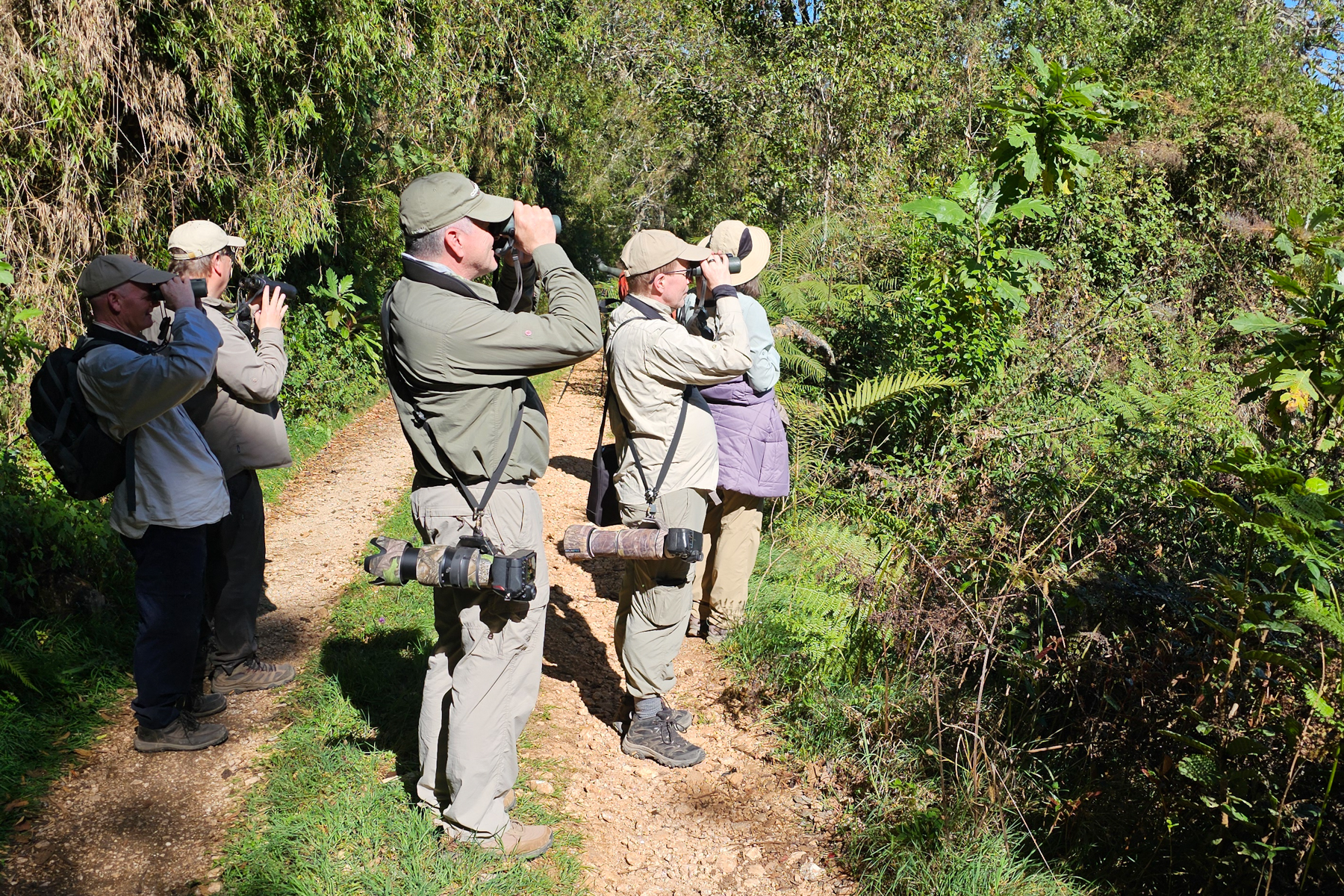 Group in the Sierra Baharuco (image by Eustace Barnes)