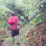 One of the local guide's, Mark, private trails across Santa Isabel (image by Diedert Koppenol)