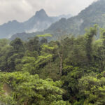 Phong Nha (image by Dáni Balla)