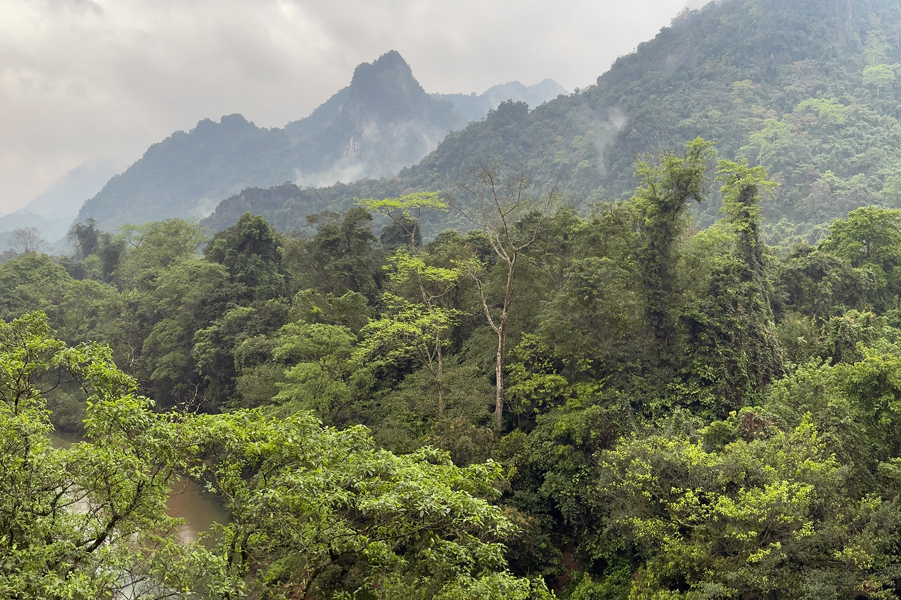 Phong Nha (image by Dáni Balla)