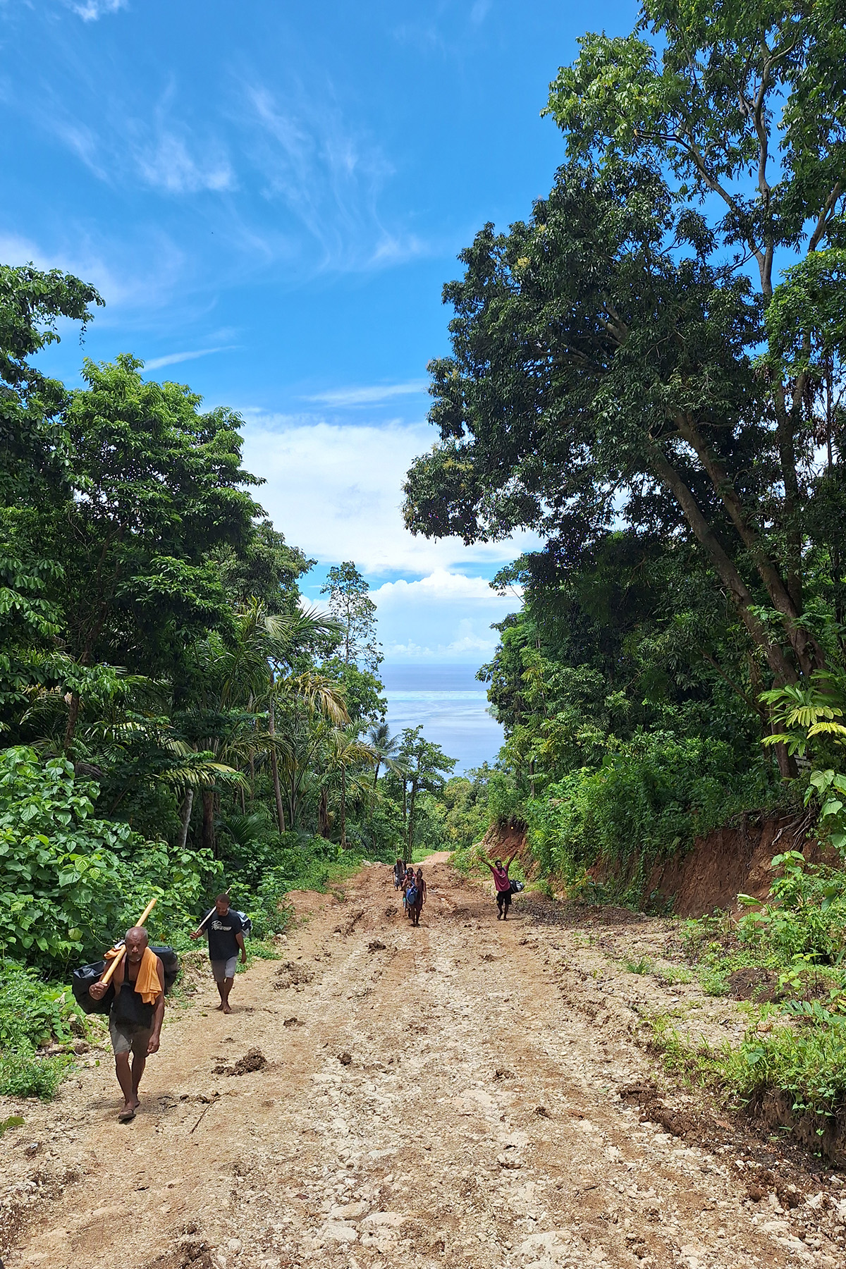 The old logging road up to Tirotonga (image by Diedert Koppenol)