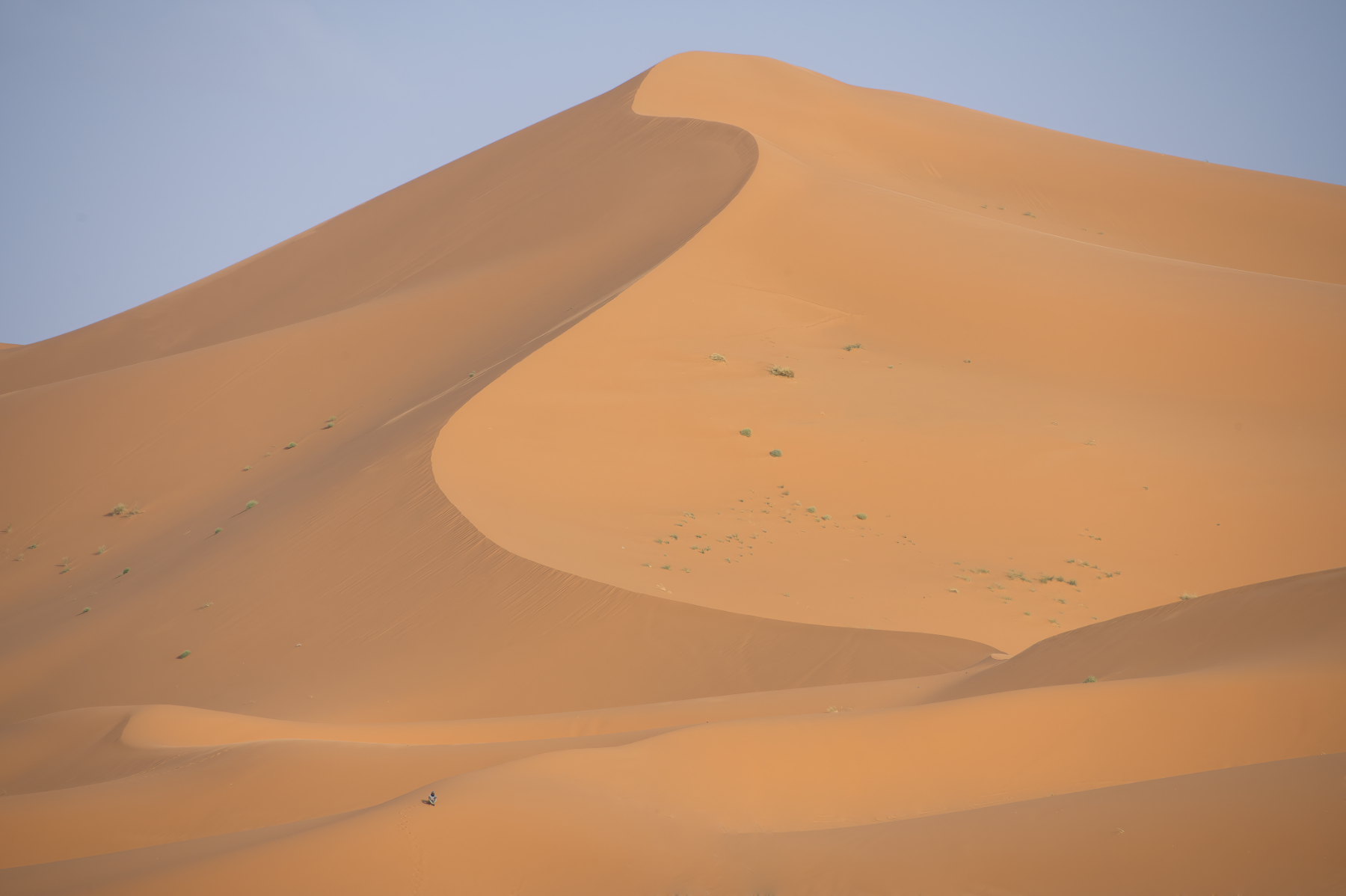 Erg Chebbi (image by Martin Hale)