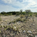 South Llano River (image by Mike Watson)