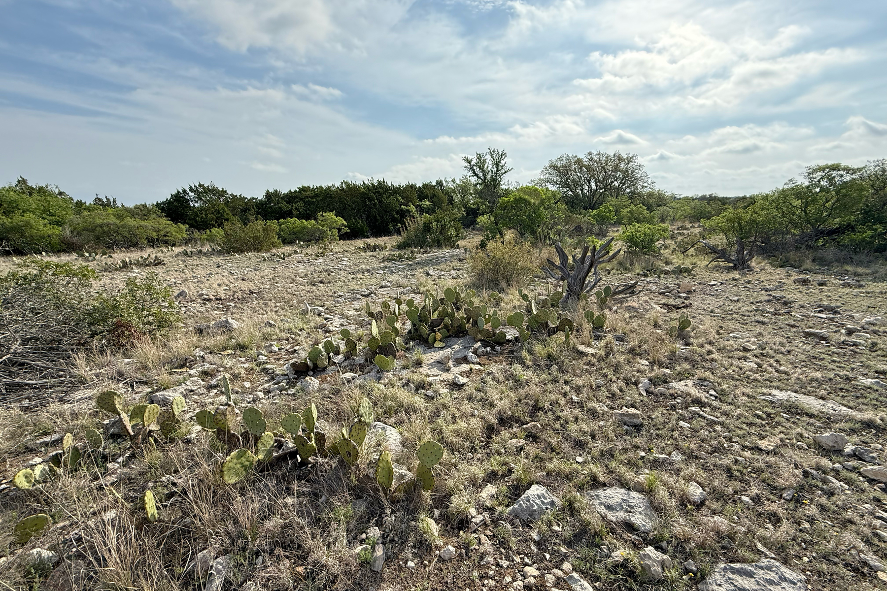 South Llano River (image by Mike Watson)