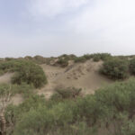 Takla Makan Desert (image by Mark Beaman)