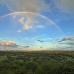 Tarangire Rainbow (image by Nik Borrow)