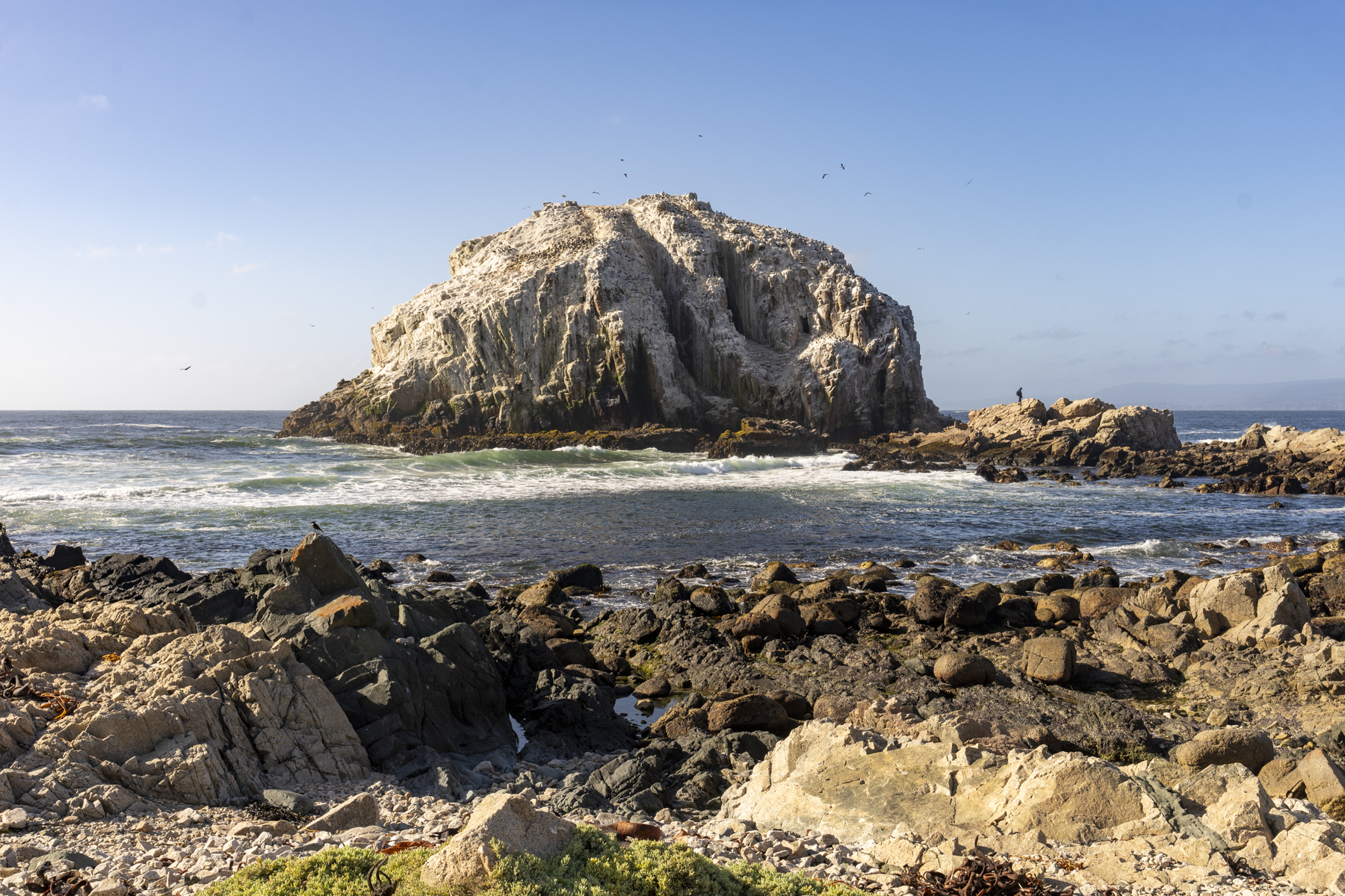 Algarrobo coastline (image by Mark Beaman)