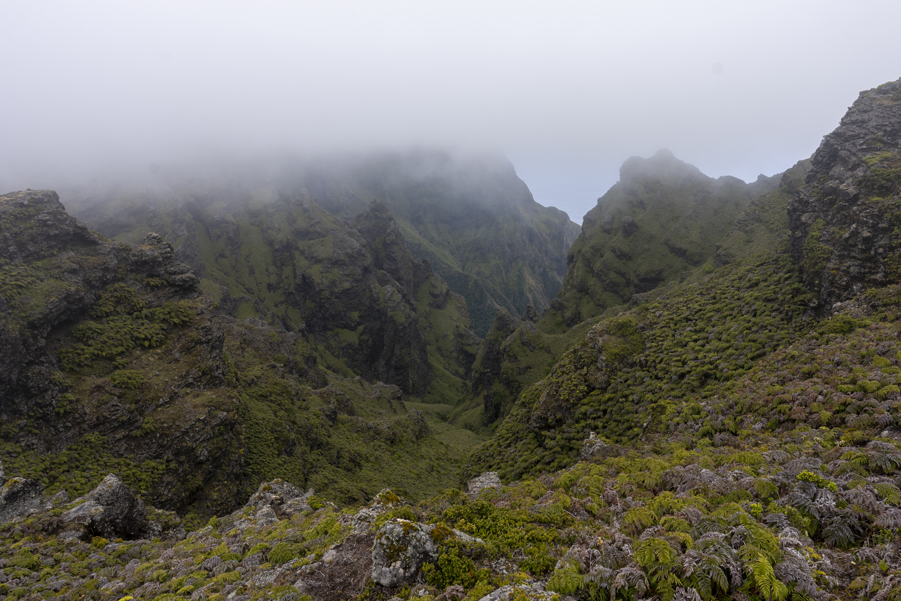 The highlands of Alejandro Selkirk or Masafuera (image by Mark Beaman)