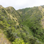 Masafuera landscape (image by Mark Beaman)