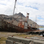 Abandoned whaling station at Grytviken (image by Michael O'Clery)