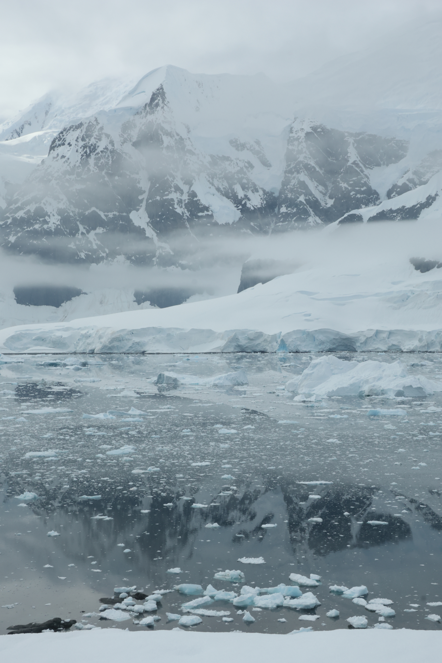 Antarctica on Christmas Day (image by Michael O'Clery)(image by Michael O'Clery)