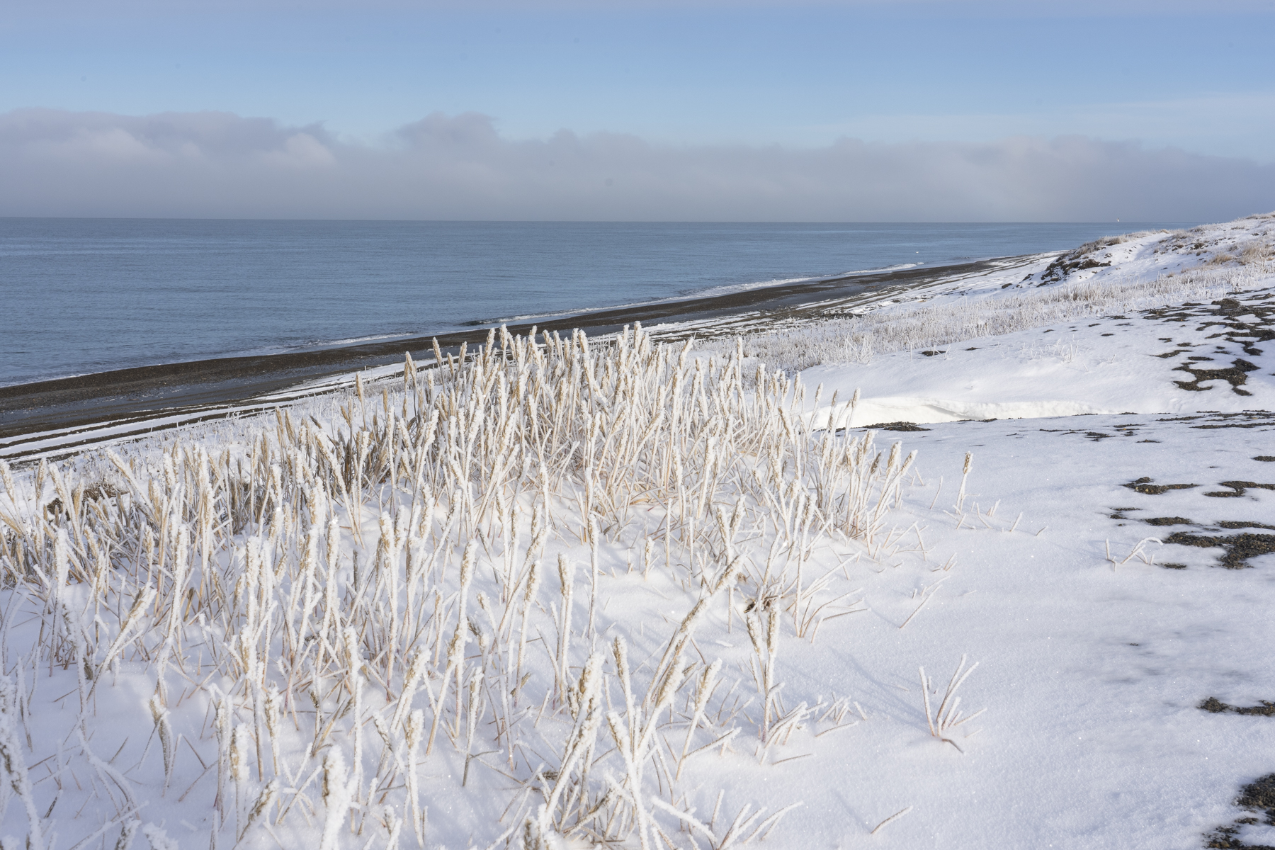 Winter comes to the coast (image by Mark Beaman)