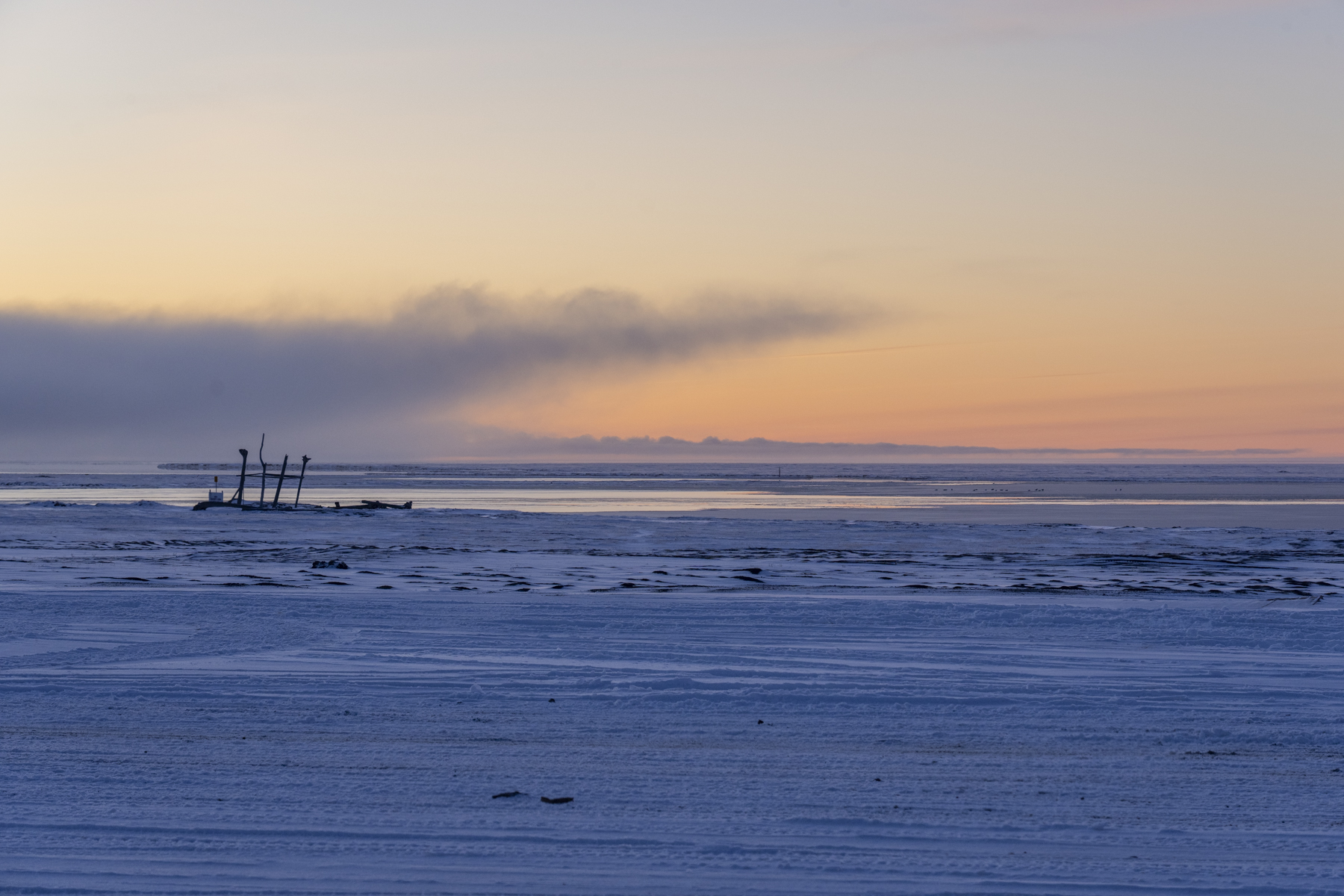 Barrow dawn (image by Mark Beaman)