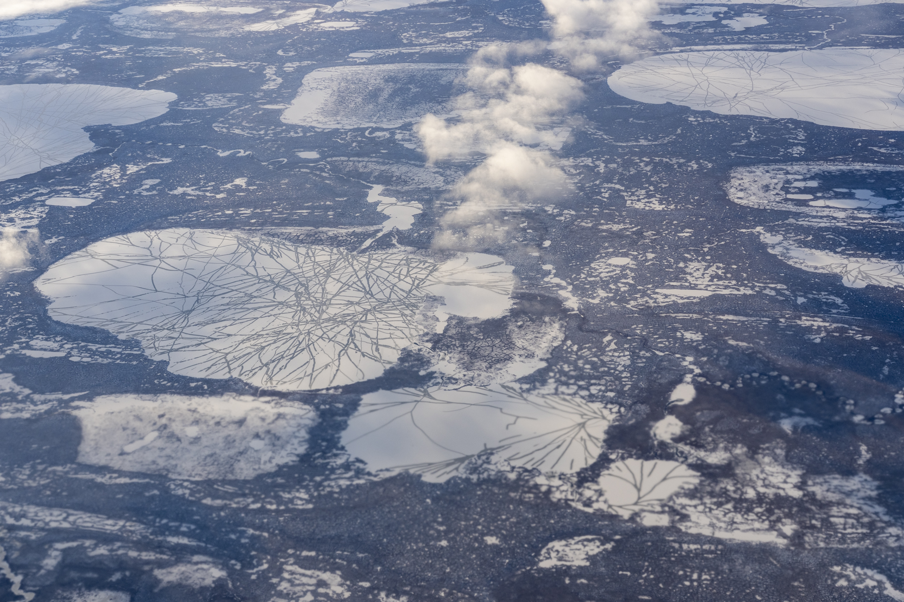 Tundra lakes freezing over (image by Mark Beaman)