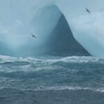 Cape Petrels at the world's largest iceberg, A23a (image by Michael O'Clery)