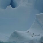 Chinstrap Penguins (image by Michael O'Clery)