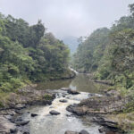 Ranomafana (image by Nik Borrow)