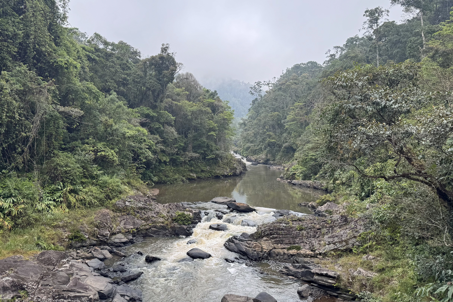 Ranomafana (image by Nik Borrow)