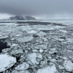 Ice floes, Antarctic Sound (image by Mike Watson)