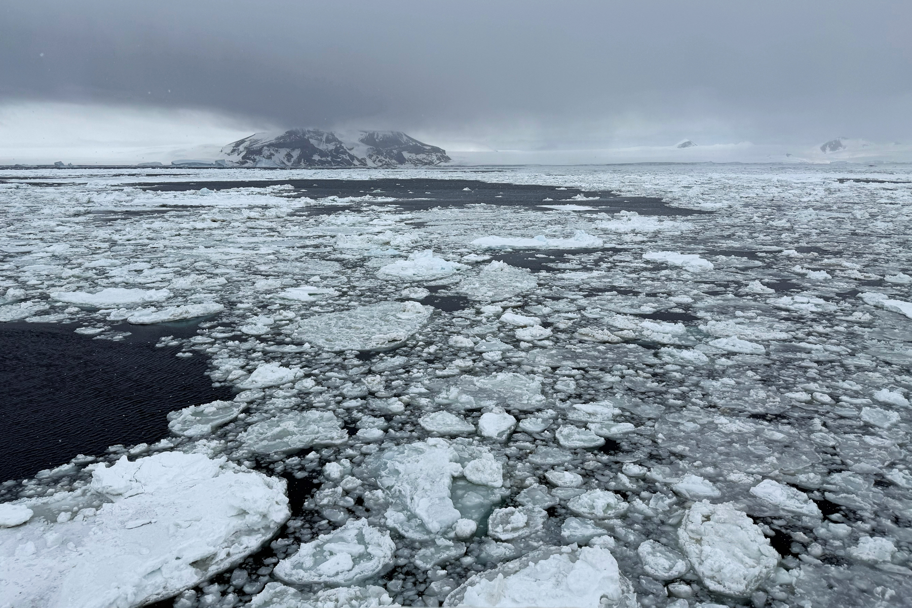 Ice floes, Antarctic Sound (image by Mike Watson)