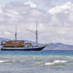 Lady Denok (Tanahjampea) (image by Pete Morris)