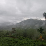 Sinharaja NP (image by Vincent van der Spek)
