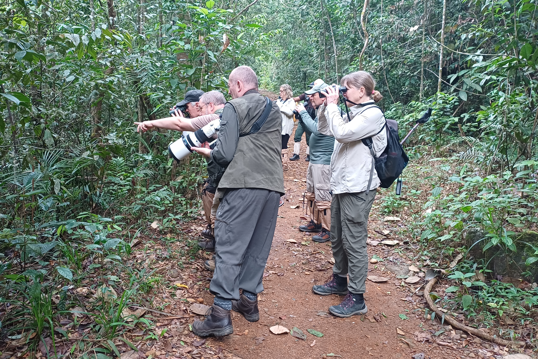 Sri Lanka Birding (image by Vincent van der Spek)