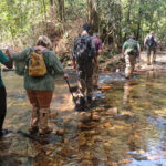 Sinharaja NP (image by Vincent van der Spek)