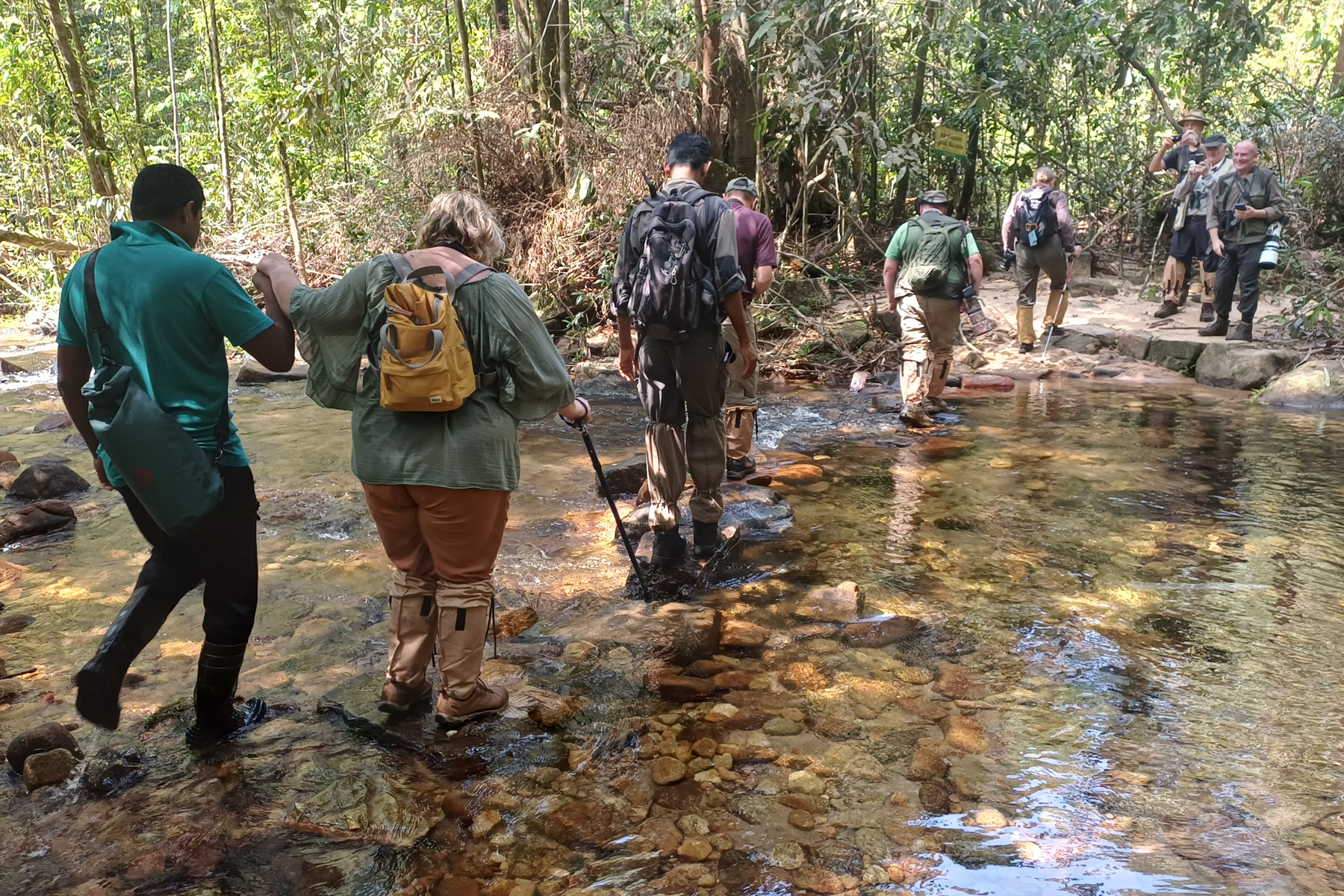 Sinharaja NP (image by Vincent van der Spek)