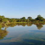 Uda Walawe (image by Vincent van der Spek)