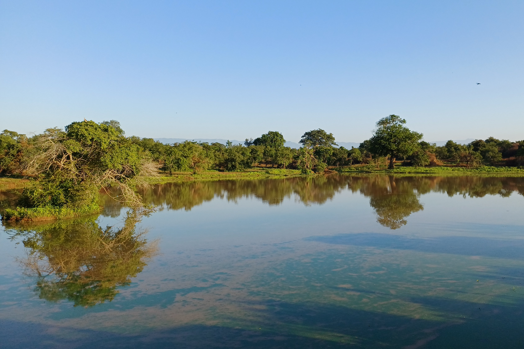 Uda Walawe (image by Vincent van der Spek)