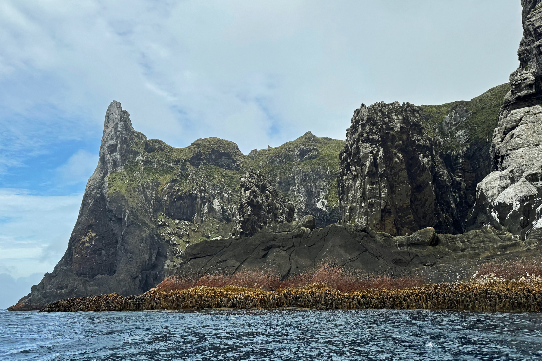 Antipodes Island (image by Nik Borrow)