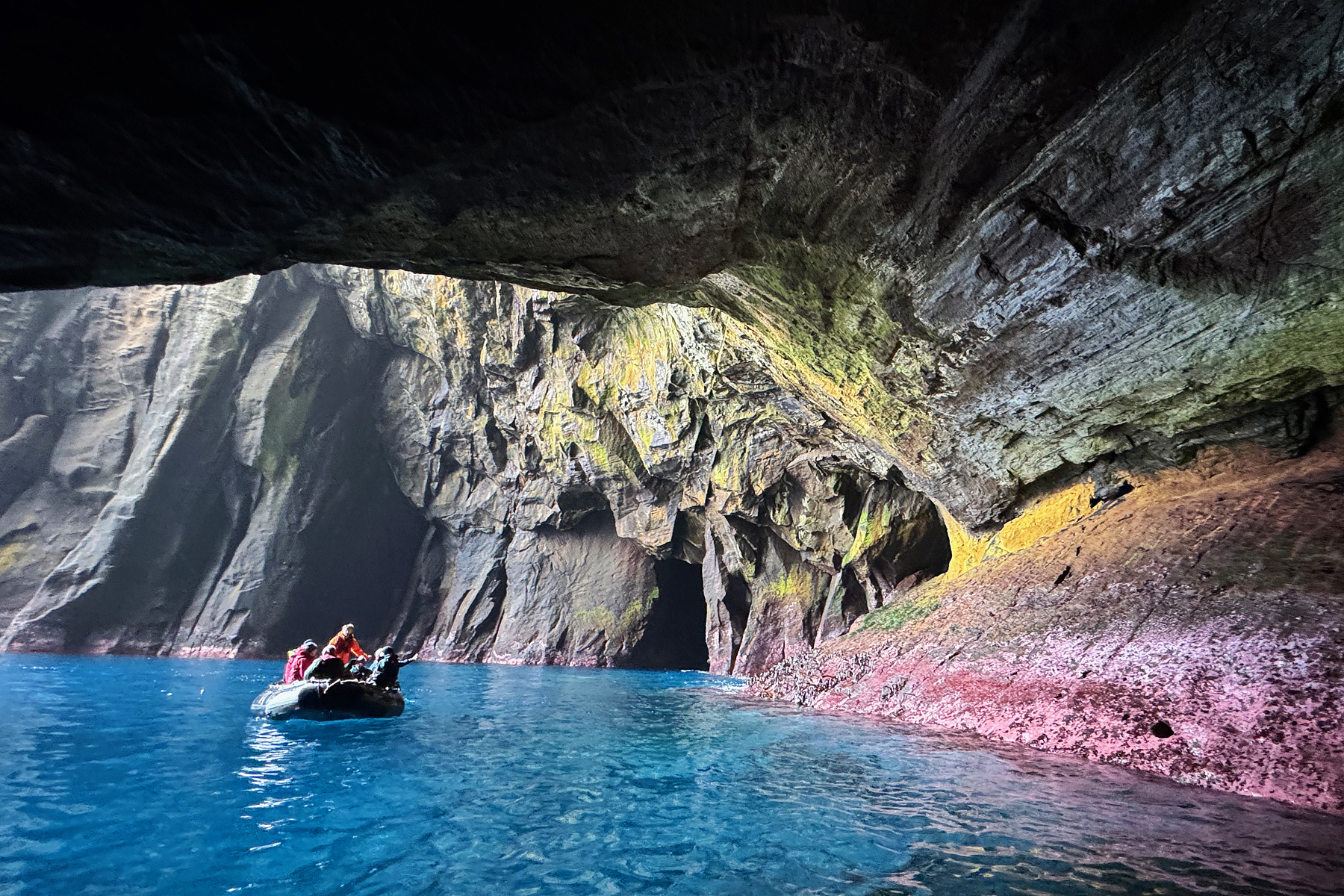 Antipodes Island (image by Nik Borrow)