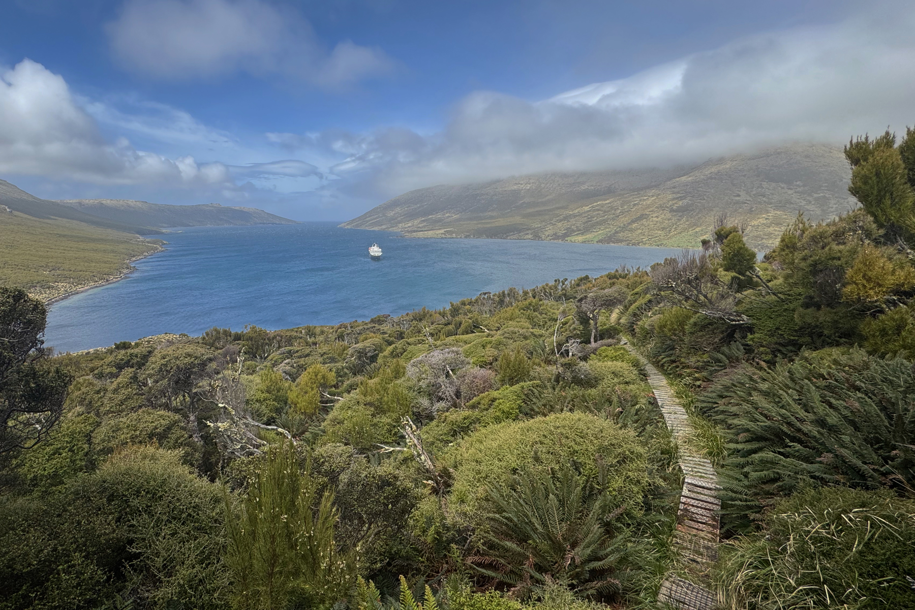 Campbell Island (image by Nik Borrow)
